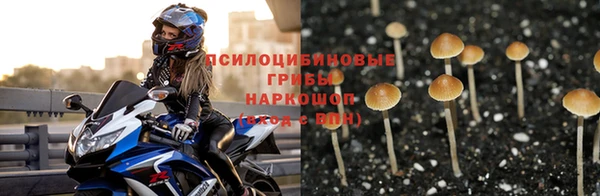 винт Балахна