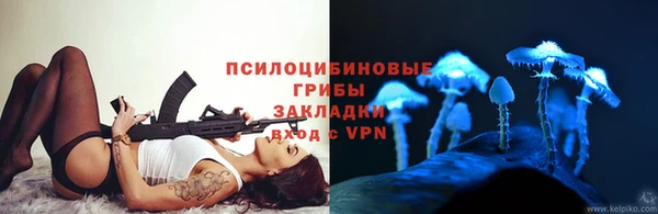 трава Армянск