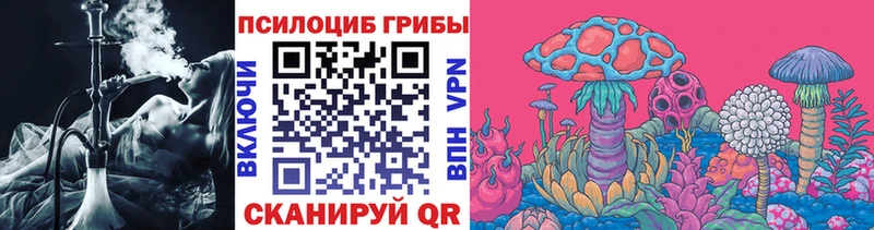 Галлюциногенные грибы Psilocybine cubensis Сатка